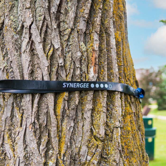 Resistance Power Bands - Image 18