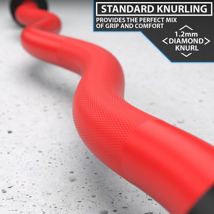 EZ Curl Bars - Image 19
