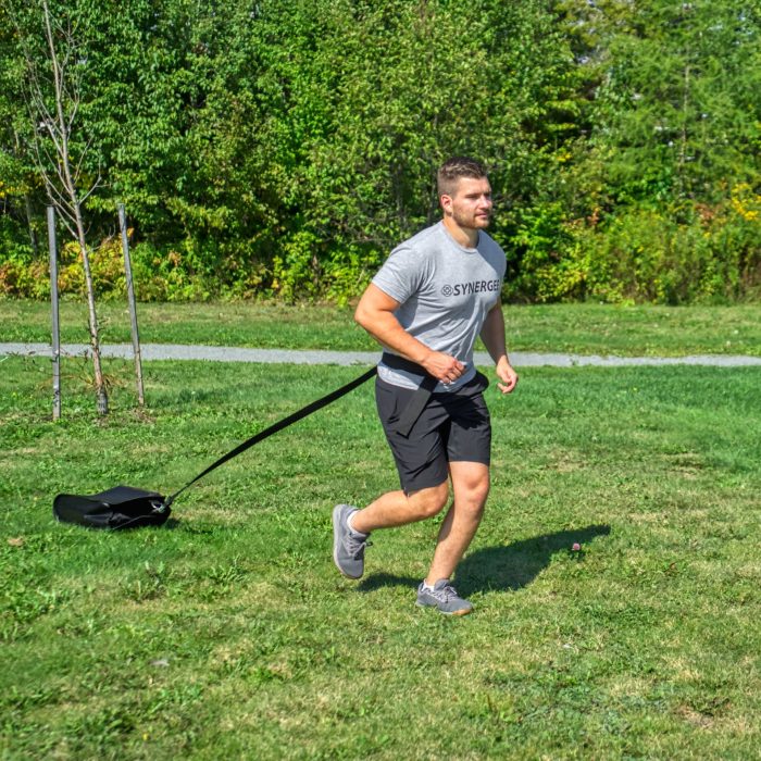 Weight Sled - Image 13