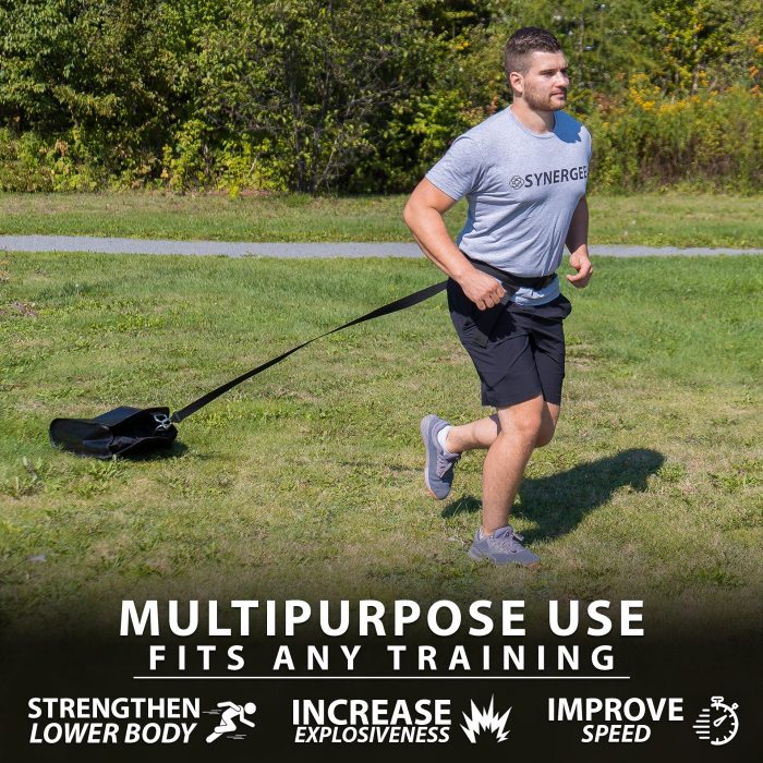 Weight Sled - Image 3